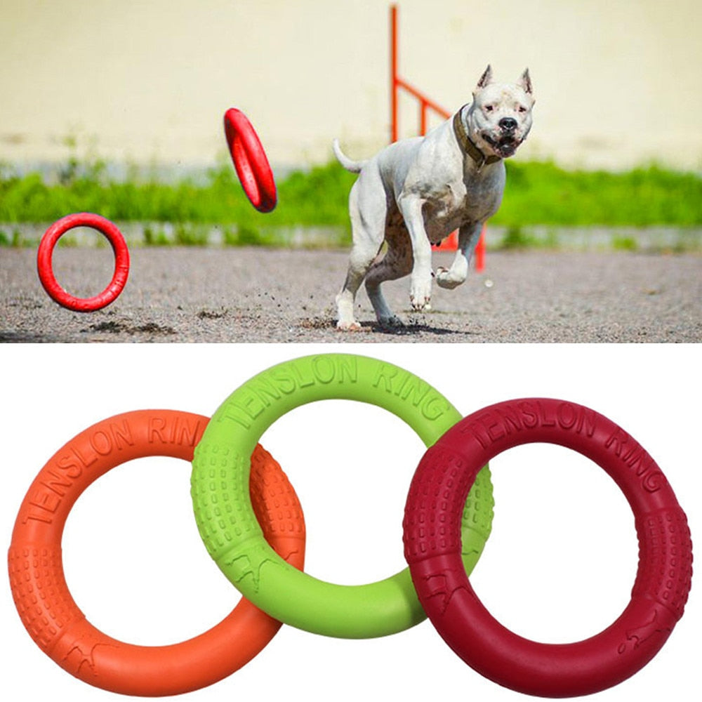 Dog Flying Disc — Interactive Rubber Training Frisbee