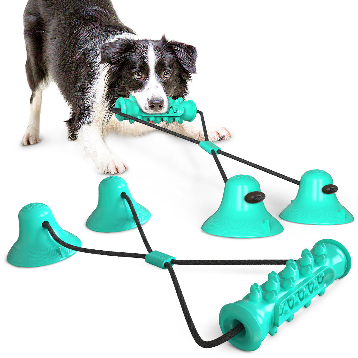 Double Suction Cup Dog Tug Toy — Molar Bite & Teeth Cleaner
