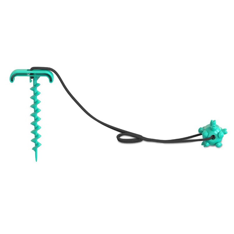Outdoor Spiral Dog Stake & Leash Set