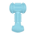 TPR Bone Dog Chew Toy