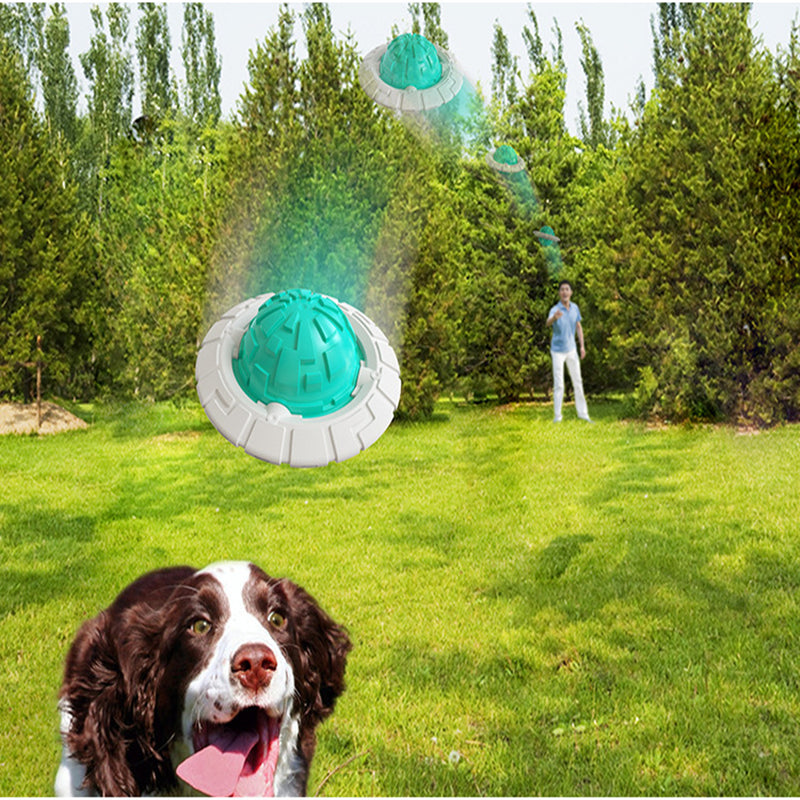 Interactive Sounding Frisbee & Grinding Ball Dog Toy