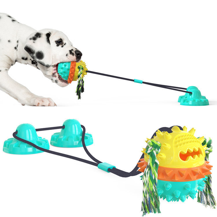 Suction Cup Dog Chew Toy — Molar Sound Ball