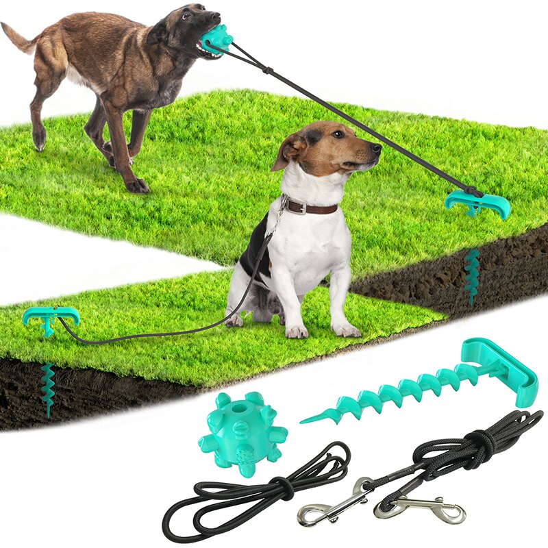 Outdoor Spiral Dog Stake & Leash Set