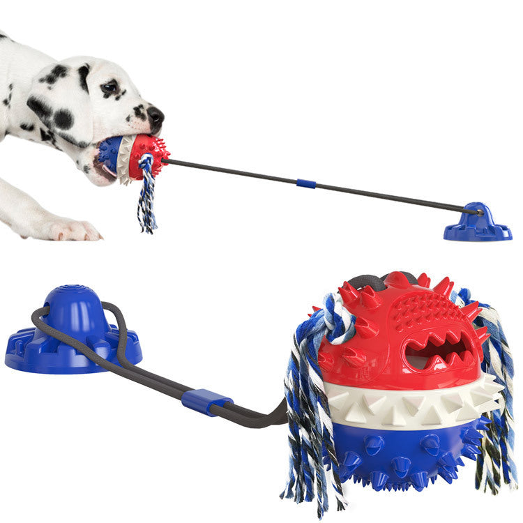Suction Cup Dog Chew Toy — Molar Sound Ball