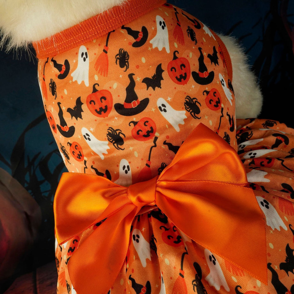 Halloween Dog Costume | Pumpkin & Bat Design Pet Outfit