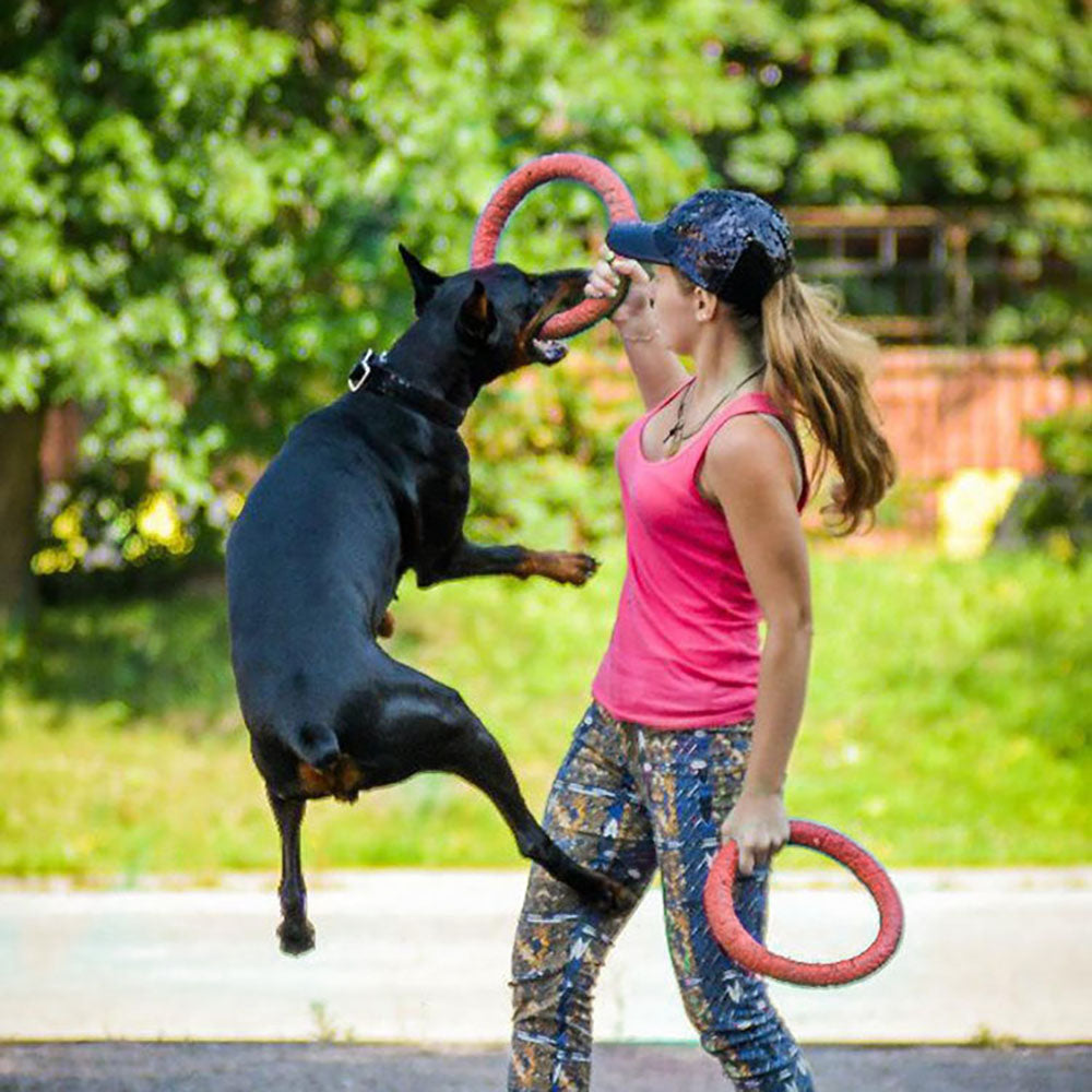 Dog Flying Disc — Interactive Rubber Training Frisbee
