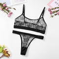 Mesh Printed Lace Bra Set
