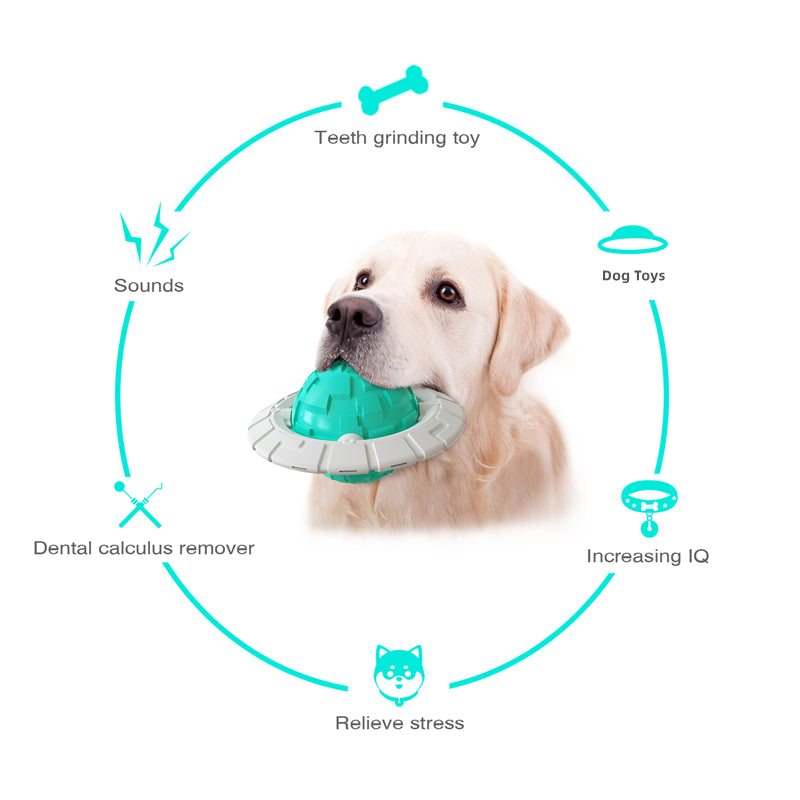 Interactive Sounding Frisbee & Grinding Ball Dog Toy