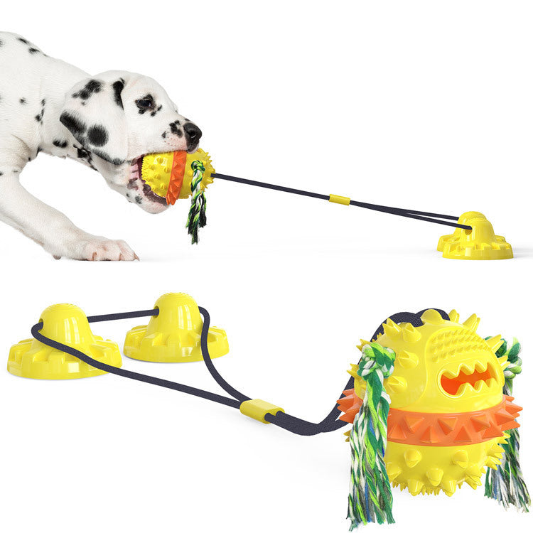 Suction Cup Dog Chew Toy — Molar Sound Ball