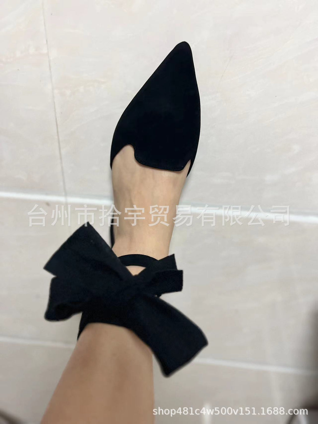 Pointed Toe Ankle Strap Flat Sandals