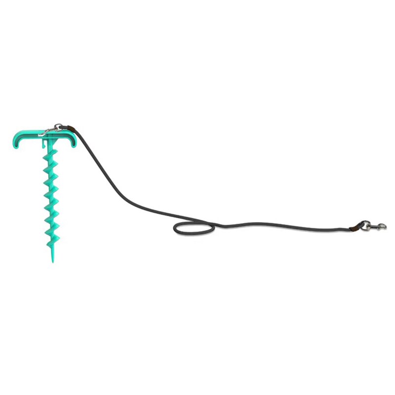 Outdoor Spiral Dog Stake & Leash Set