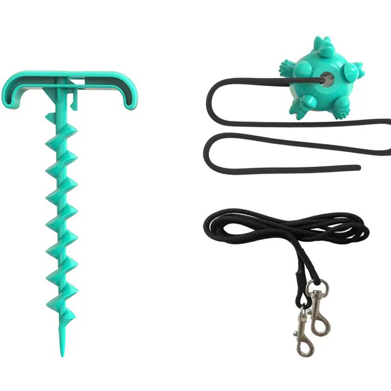 Outdoor Spiral Dog Stake & Leash Set