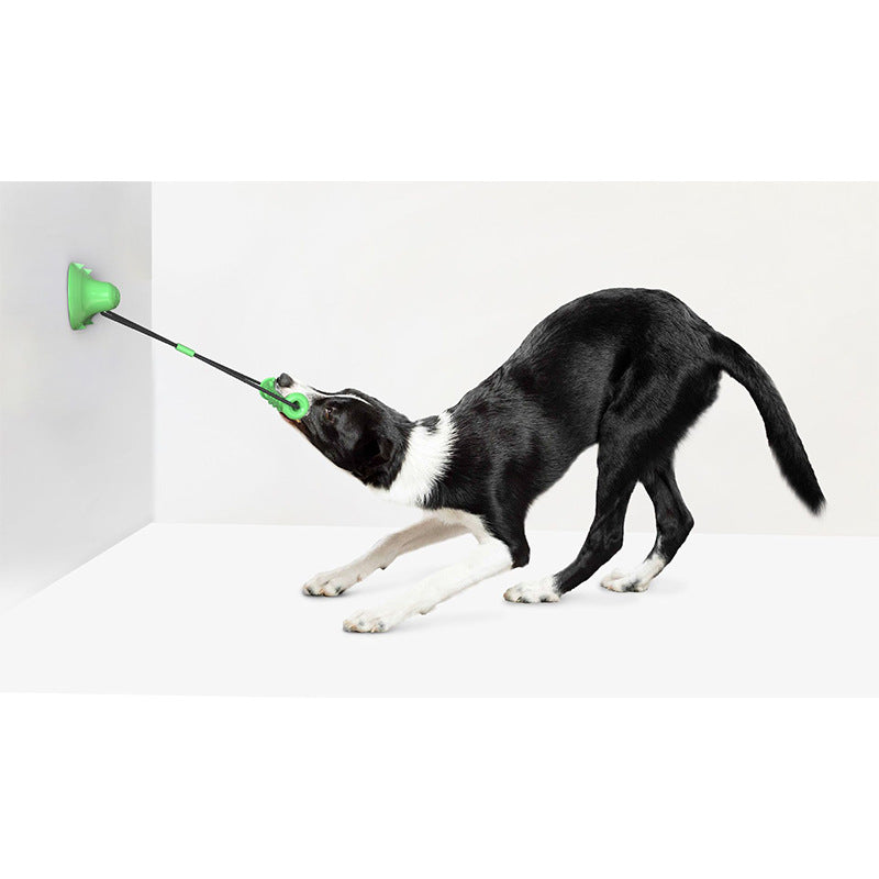 Double Suction Cup Dog Tug Toy — Molar Bite & Teeth Cleaner
