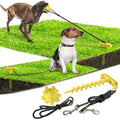 Outdoor Spiral Dog Stake & Leash Set