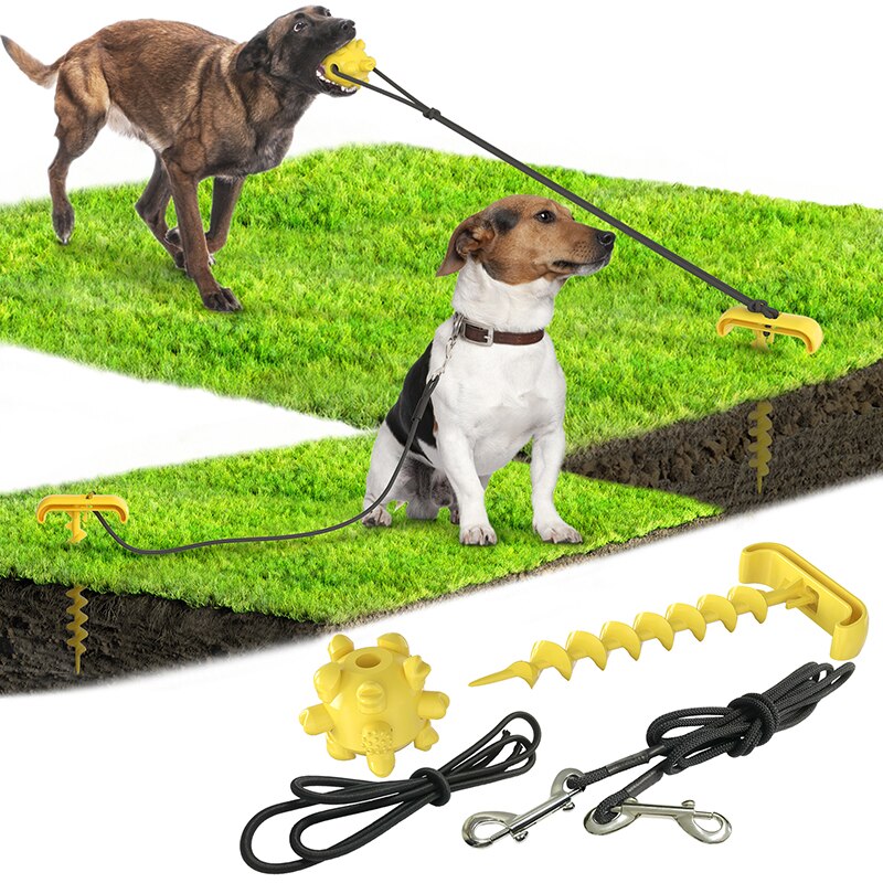 Outdoor Spiral Dog Stake & Leash Set
