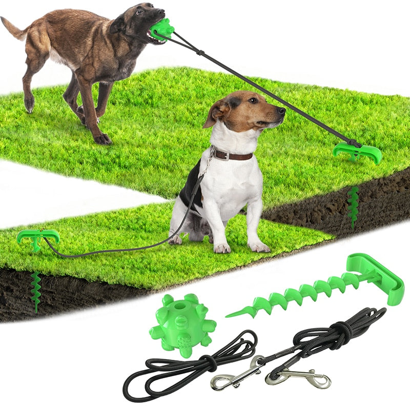 Outdoor Spiral Dog Stake & Leash Set