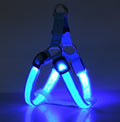 LED Light-Up Dog Harness
